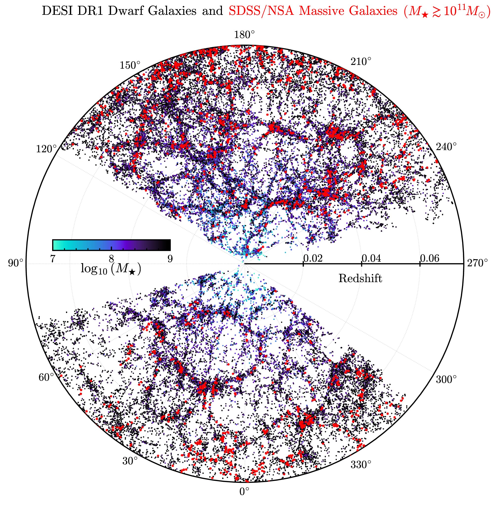 Polar redshift slice of DESI DR1 dwarf galaxies in the cosmic web