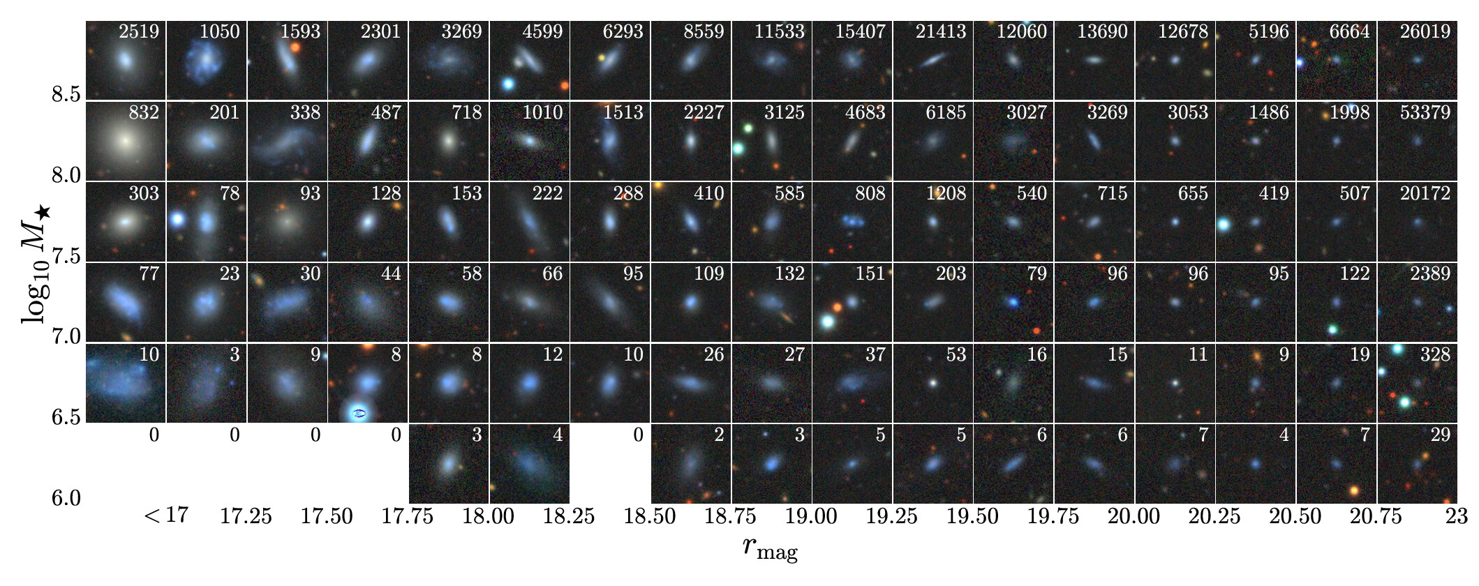 Grid of example dwarf galaxy images binned by magnitude and stellar mass